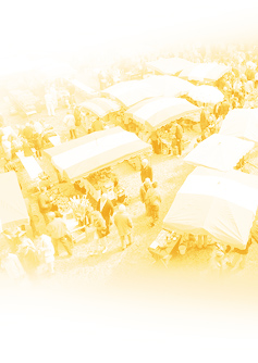 Marché hebdomadaire de Villefranche de Rouergue