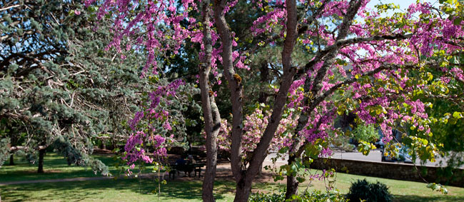 Parc de la maison de retraite et d'accueil