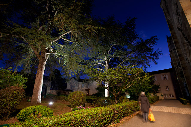 Parc éclairé la nuit